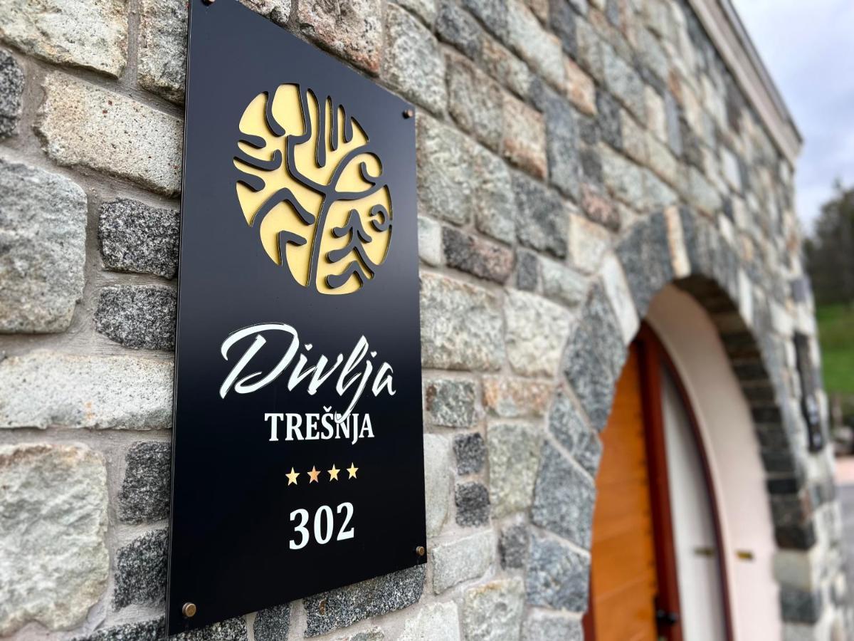 Toplik Village Resort Lukavica Экстерьер фото